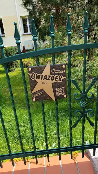 Gwiazdek Leśnik